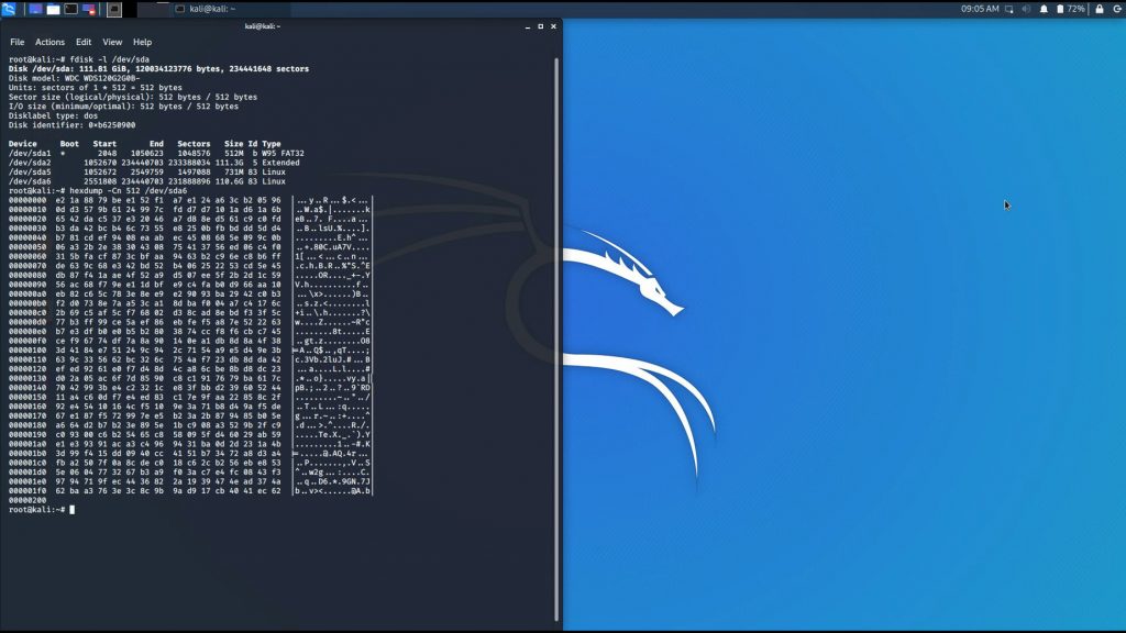 A screenshot in Kali with a hexdump showing random data